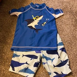 5T shark swim set
